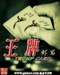 王牌部队电视剧在线观看完整版免费