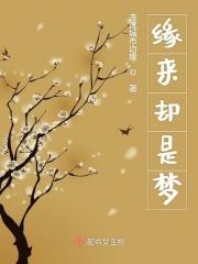 缘来缘去梦一场下一句