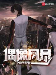 偶像风暴txt