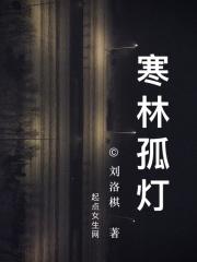 孤灯寒影
