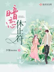 暗恋休止符完整版