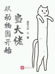 导演从动物开始