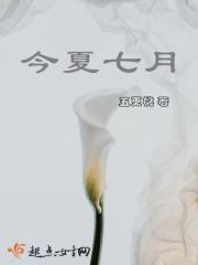 今夏是什么