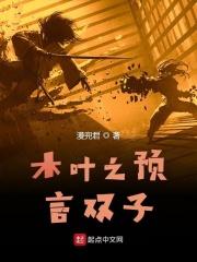 火影之未来