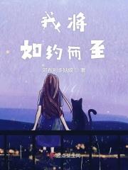 我将如约而至免费阅读