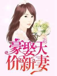 豪娶天价新妻辛晴目录