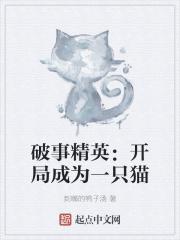 破事精英开局成为一只猫的