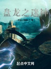 盘龙之迷神txt精校版