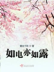 如电亦如露 应作如是观图片