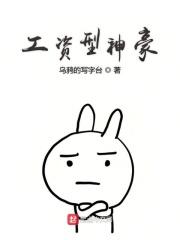 韦神工资细节