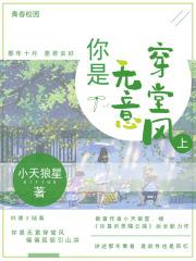 你本无意穿堂风
