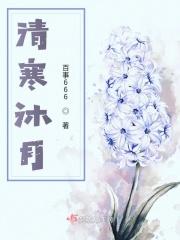 沐清雨