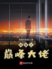 科技的巅峰
