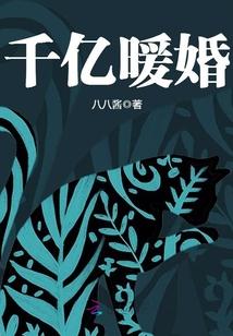 性感d丁