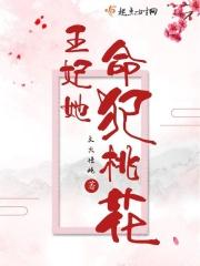 王妃她撂挑子免费全文