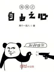 海贼世界之守护