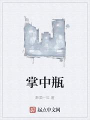 掌中瓶有什么作用