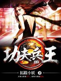 功夫兵王有声