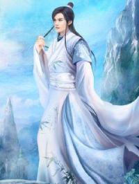 仙界最帅赘婿境界
