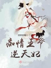 痴情王爷俏王妃