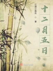 十二月五日是什么节日
