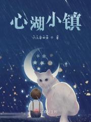 沉湖国际小镇