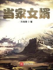 女婿难当身世