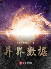 异世数据流排行榜完本