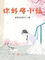 你好路先生
