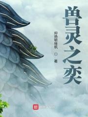 兽灵怎么加点