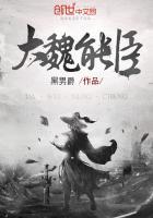 大魏能臣TXT百度