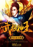 武极神王的境界划分