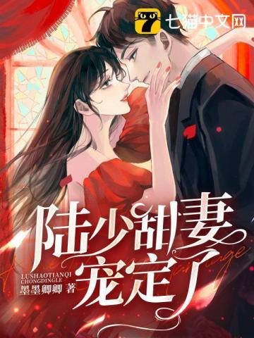 陆少宠妻太甜蜜免费全文阅读