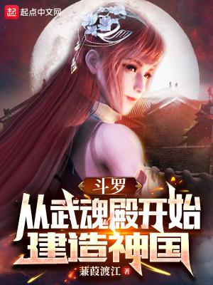 斗罗大陆从神级武魂开始