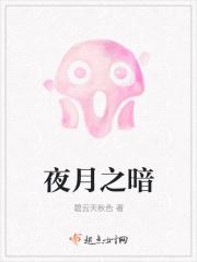 暗夜月男