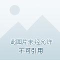 冷情霸宠免费阅读
