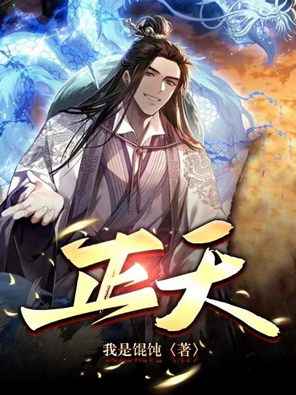 正天丸价格