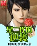 星二代的意思