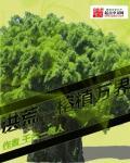 洪荒之火榕树