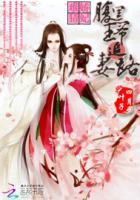 腹黑王爷娇医妃溪照影