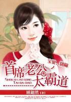 全球盛宠夫人画风