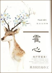 齐思年霍心