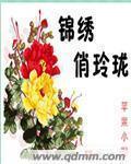 锦绣俏仵作2第三卷