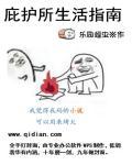 庇护所攻略大全