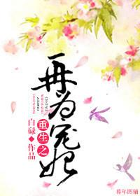 重生之再为宠妃 百度