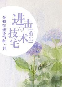 技术宅攻略 晋江