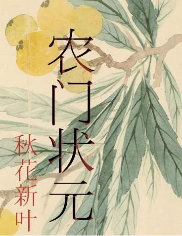 农门状元全文免费阅读赵全