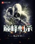 巅峰刺客的贴吧