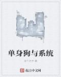 单身狗总结系统