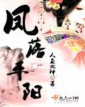 凤落平阳by南风歌许如信